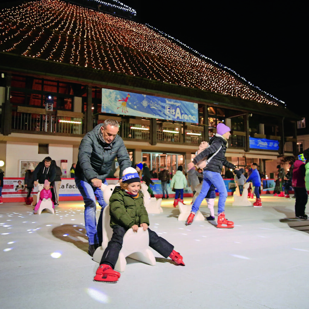 Neuburger EisArena