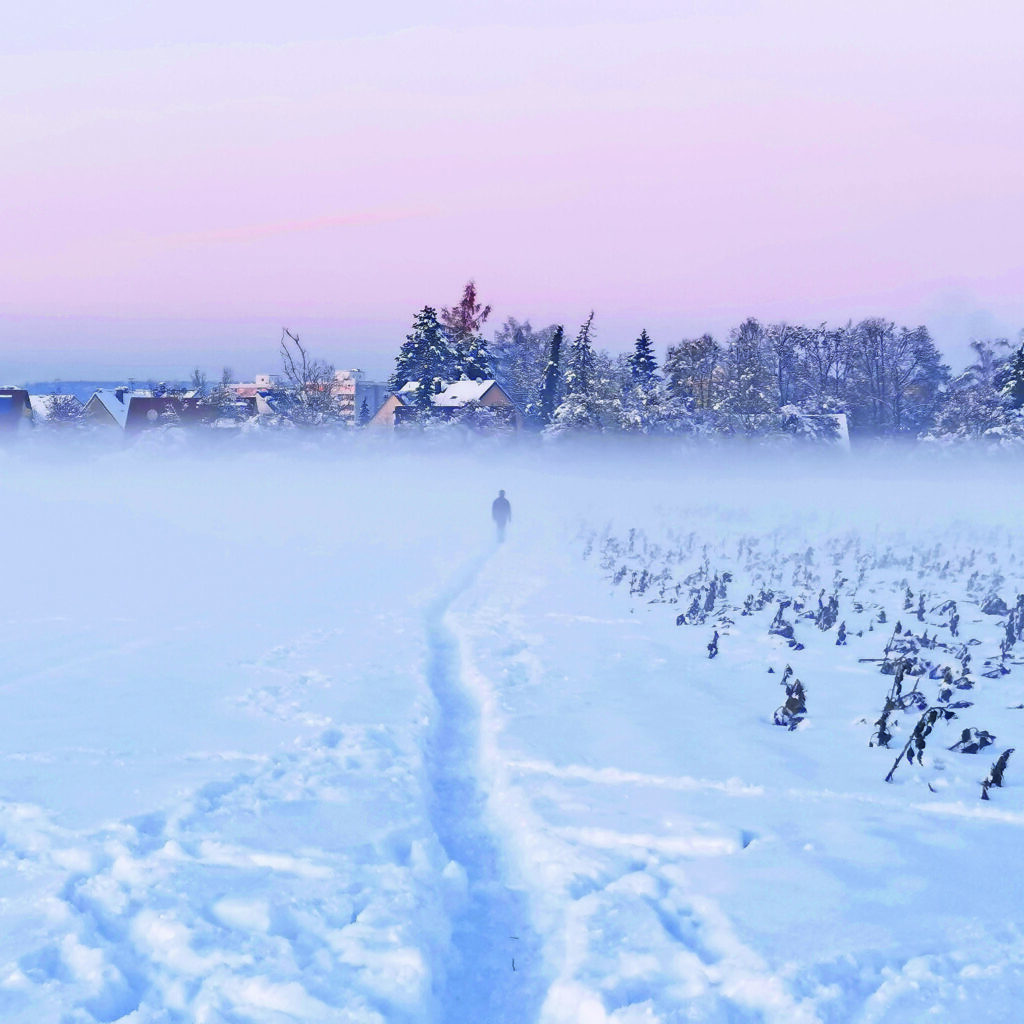 Winterspaziergang