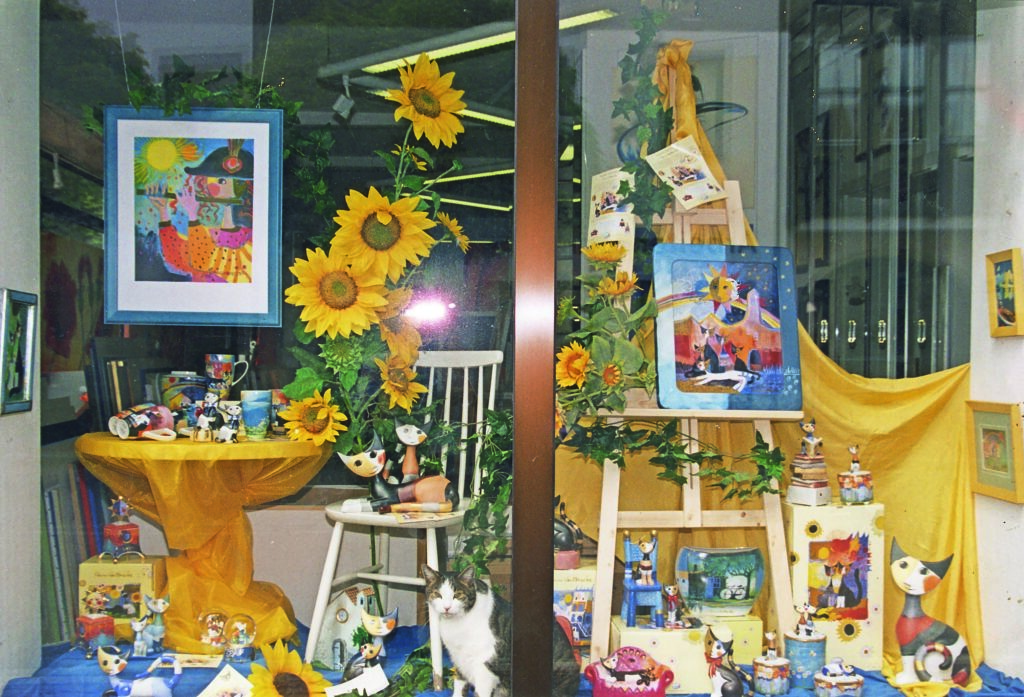Die Katze im Schaufenster