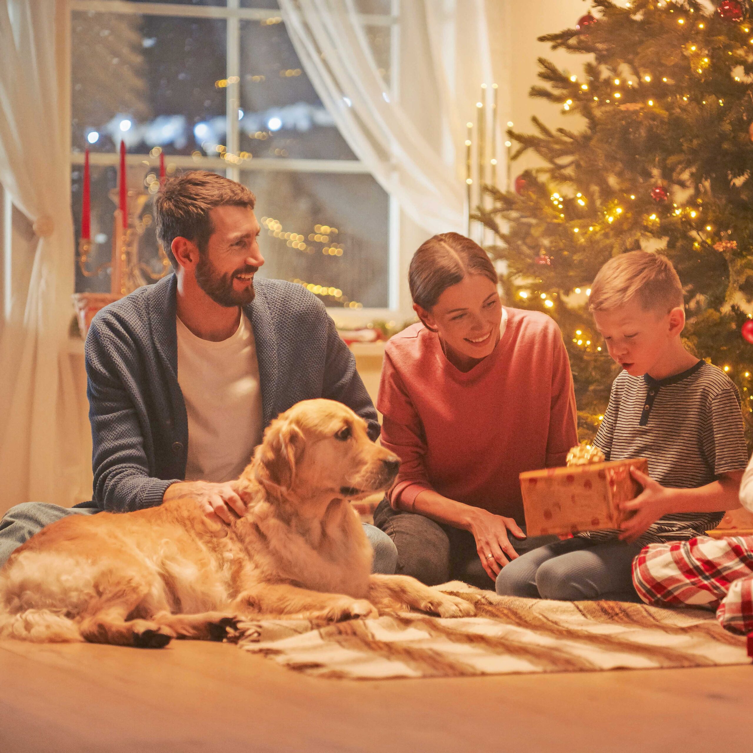 Fesch an den Festtagen