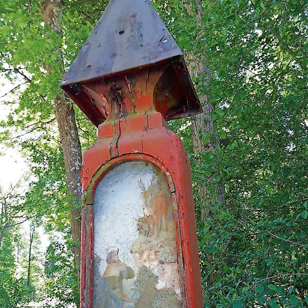 Rundwanderweg Floramoos