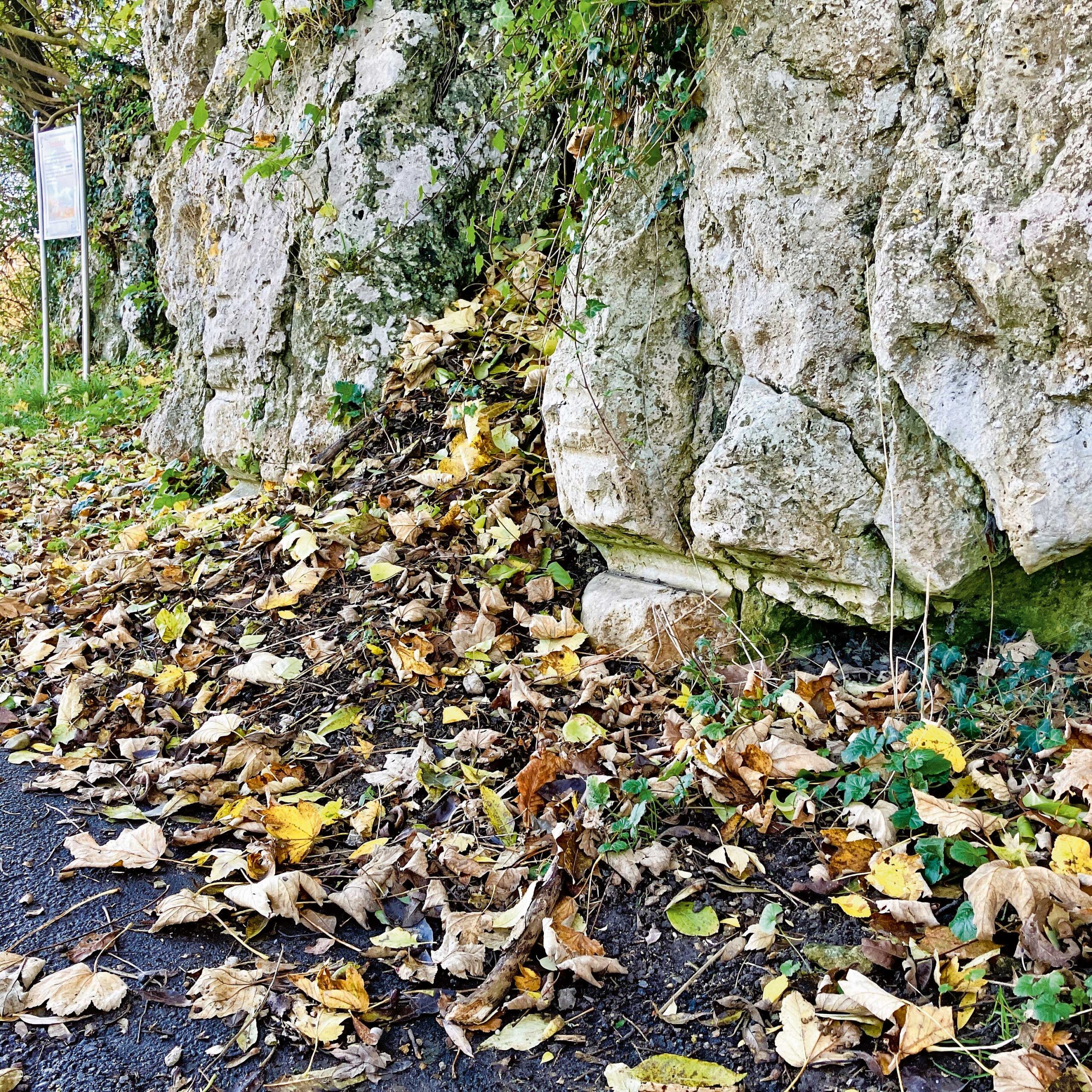 Treidelspuren auf dem Neuburger Nachtbergweg