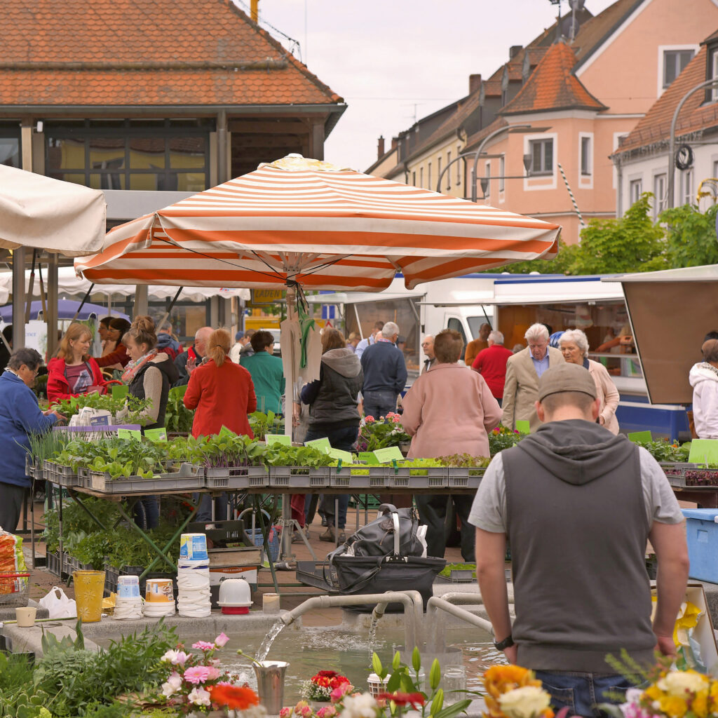 Frische-Erlebnis am Neuburger Wochenmarkt