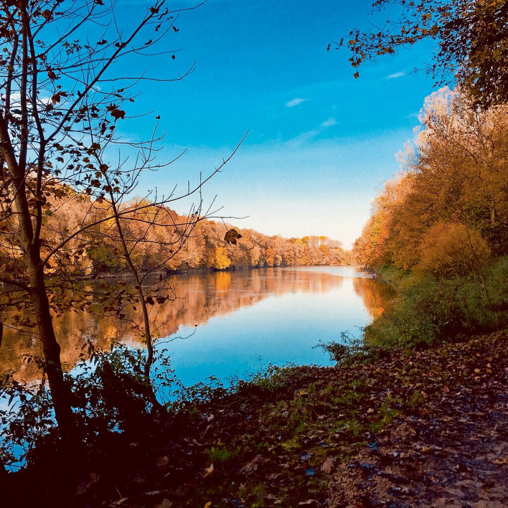 Aktion „Discover your Danube“